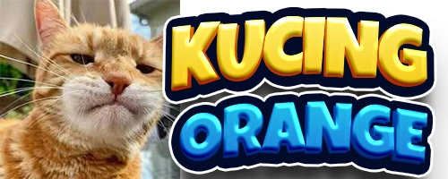 KUCING ORANGE SLOT Apk